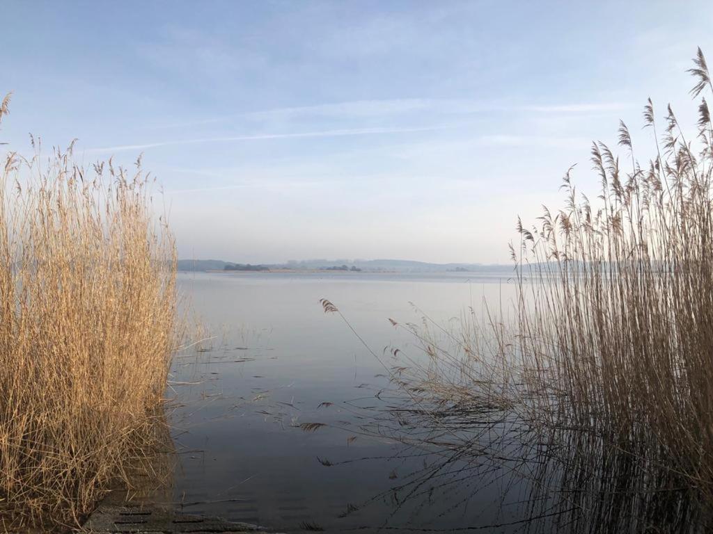 Ferienwohnung Seeblick - Insel Usedom Balm Eksteriør billede