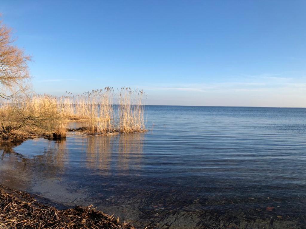 Ferienwohnung Seeblick - Insel Usedom Balm Eksteriør billede