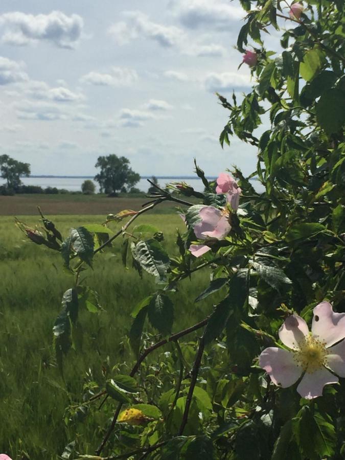 Ferienwohnung Seeblick - Insel Usedom Balm Eksteriør billede