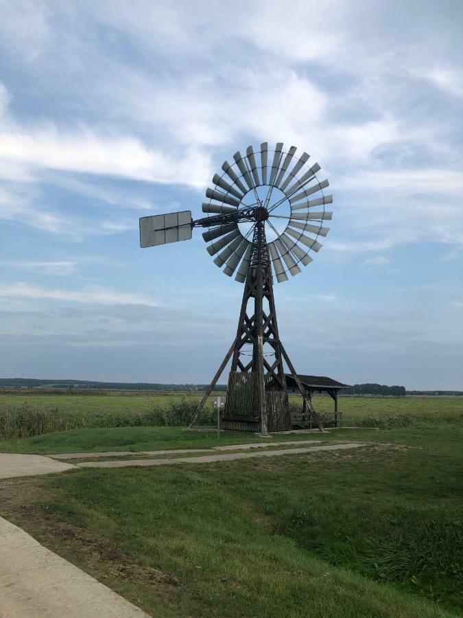 Ferienwohnung Seeblick - Insel Usedom Balm Eksteriør billede